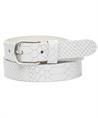 Legend leren riem pythonprint