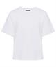 OUI basis shirt logo