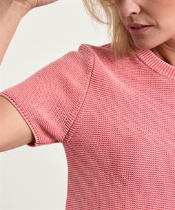 OUI cropped truitje