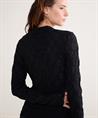 Summum spider mesh top